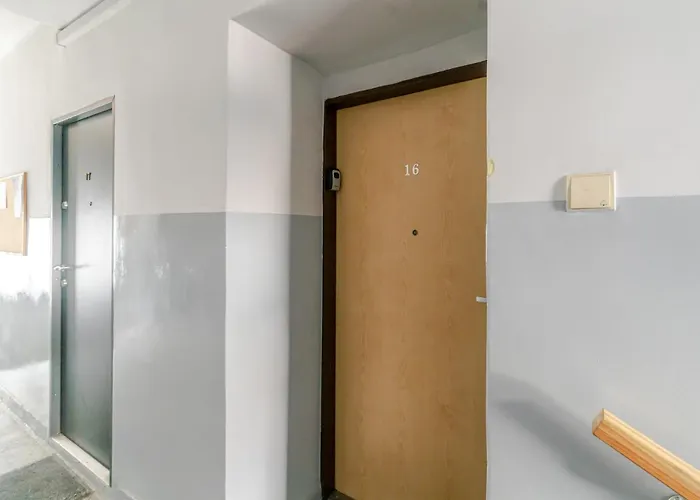 Victory By Bookinghost סוסנוביץ'